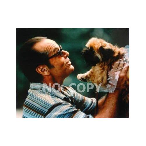Photo Jack Nicholson - Format 20x25cm