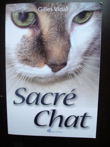 Sacre Chat