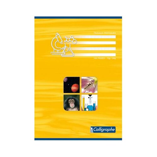 Cahier Travaux Pratiques Piqure 48p (Seyes 70g+Dessin) A4