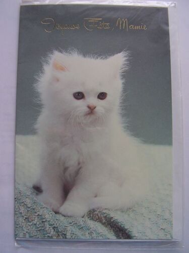 Carte "Joyeuse Fête, Mamie" Décor Chaton Blanc