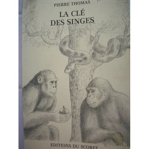 La Clé Des Singes