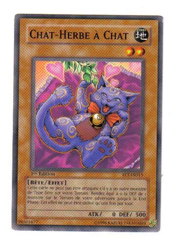 Chat-Herbe A Chat En Fr 1 Ere Ed Fet-Fr013