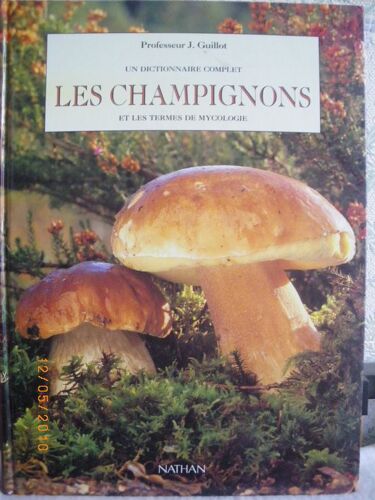 Les Champignons Et Les Termes De Mycologie