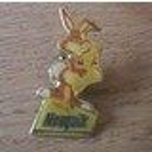 Pins