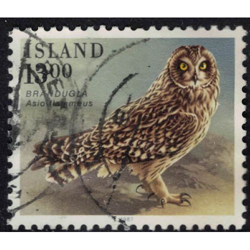 Islande 1987 Oblitéré Used Oiseau Asio Flammeus Hibou Des Marais Su