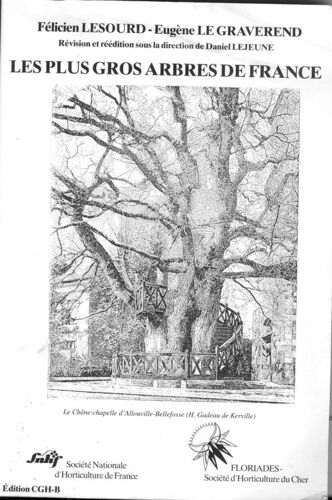 Les Plus Gros Arbres De France