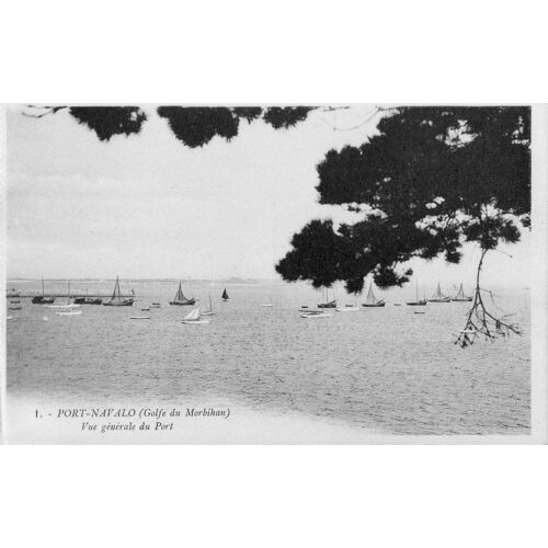 Carte Postale - Port-Navalo - Golfe Du Morbihan Le Port