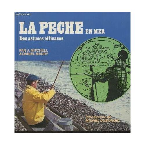 La Peche En Mer, Des Astuces Efficaces (Collection Vidi )
