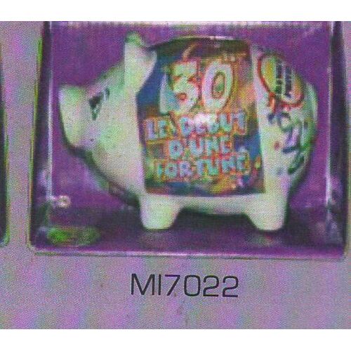 Tirelire Resine Cochon 15cx10cm 30 Ans Le Debut D'une Fortune
