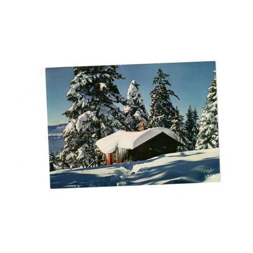 Carte Postale : Symphonie Hivernale