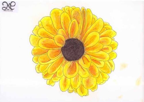 Dessin  Fleur Tournesol Jaune   Feutre Promarker Nm8