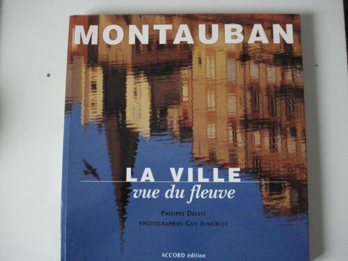 Montauban - La Ville Vue Du Fleuve