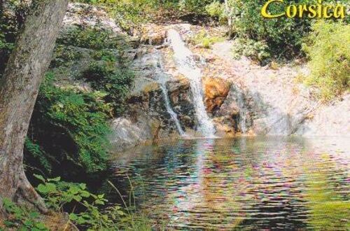 Piscine Naturelle