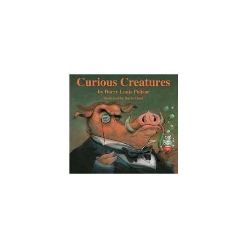 Curious Creatures