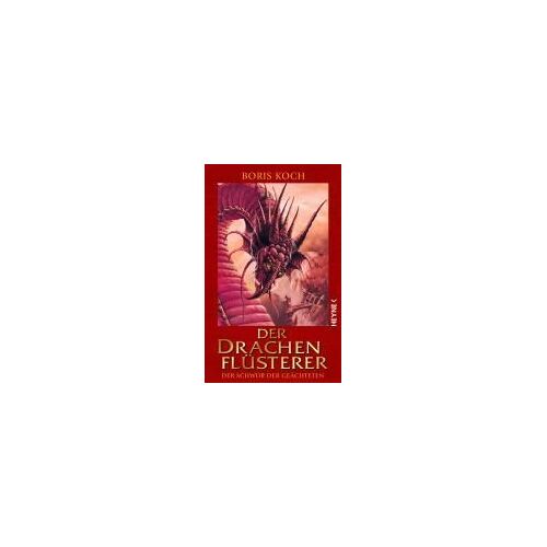 Koch, B: Drachenflüsterer/Schwur