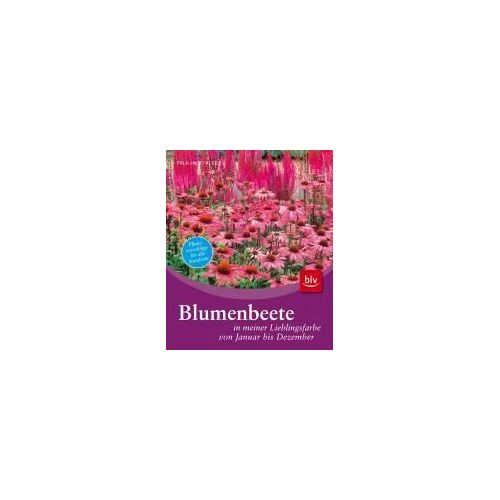 Blumenbeete In Meiner Lieblingsfarbe Von Januar Bis Dezember