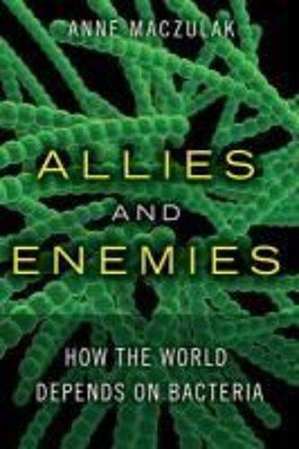 Allies And Enemies