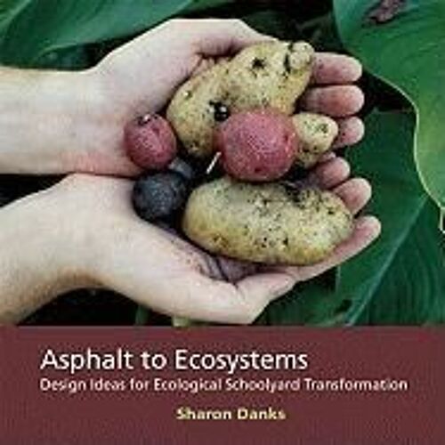 Asphalt To Ecosystems: Design Ideas For Schoolyard Transformation