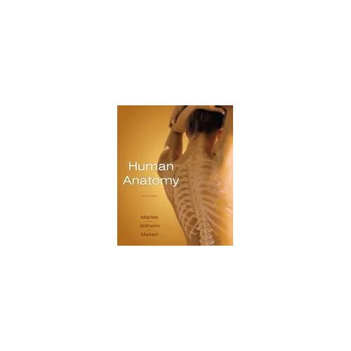 Human Anatomy