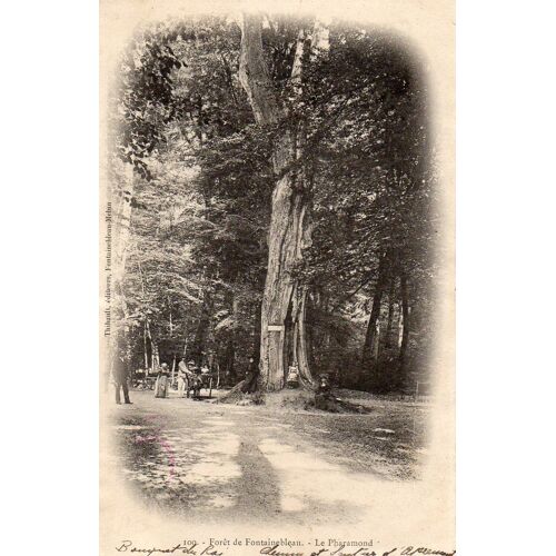 Carte Postale Ancienne - 100 - Forêt De Fontainebleau - Le Pharamond