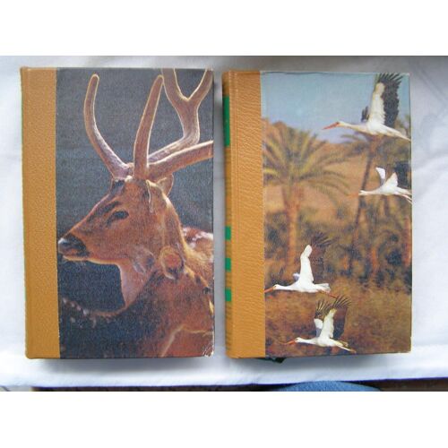 Les Mysterieuses Societes Animales - 2 Tomes Les Mysterieuses Societes Animales - 2 Tomes