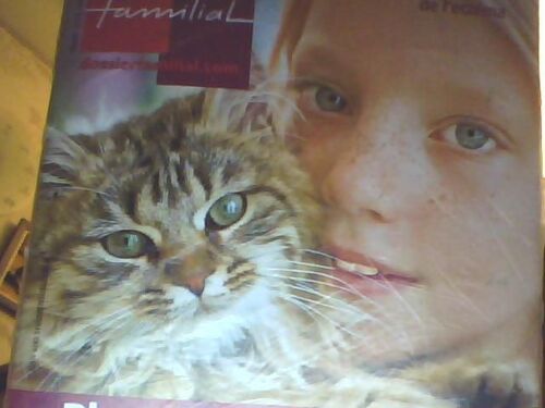 Dossier Familial  N° 422 : Bien Vivre Avec Son Chat Ou Son Chien. Orientation : Trouver Le Bon Lycée Pour Son Enfant