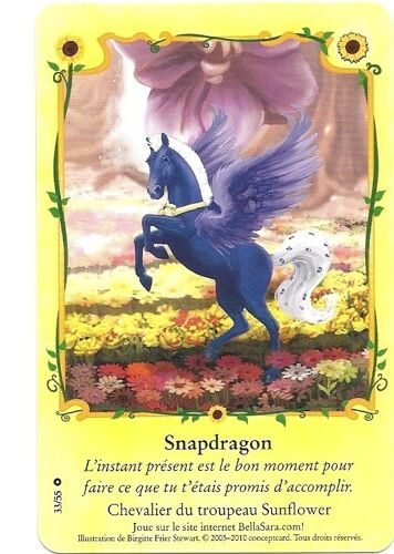 Bella Sara Fleurs Du Soleil Snapdragon 33/55