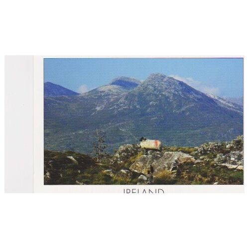 Paysage De Montagne