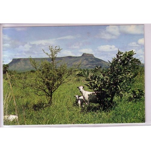 Cameroun , Garoua , La Montagne Du Tinglin