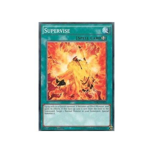 Yugioh! Supervision (Ldk2-Frj31)
