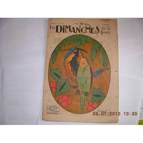 Les Dimanches De La Femme  N° 207 : Mode Broderie Napperon Patron Dentelle 21 Fevr 1926 , Les Oiseaux Des Iles ,Tapis Au Point Bouclette ,,Sweater