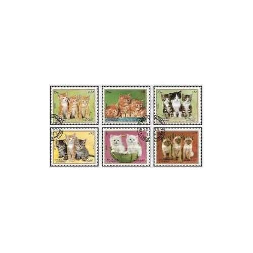 Feuillet 6 Timbres Chatons Chats Oblitérés - Sharjah 1972
