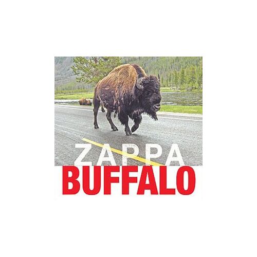 Buffalo 1980