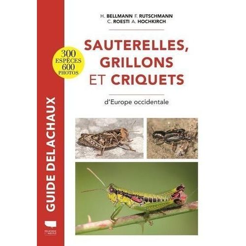 Sauterelles, Grillons Et Criquets D'europe Occidentale