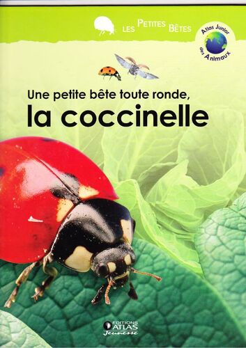 Une Petite Bete Toute Ronde, La Coccinelle
