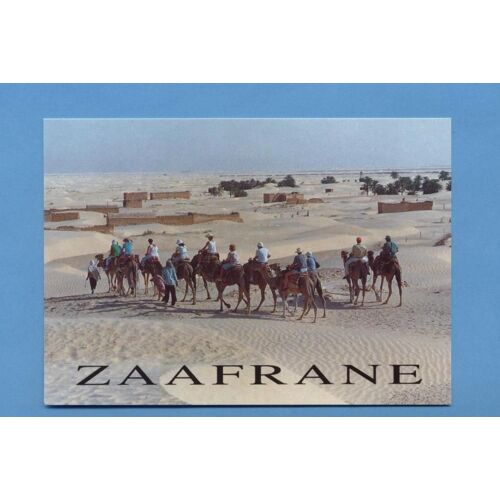 Carte Postale Publicitaire Advertising Postcard Djerba Zaafrane Tunisie Tunisia