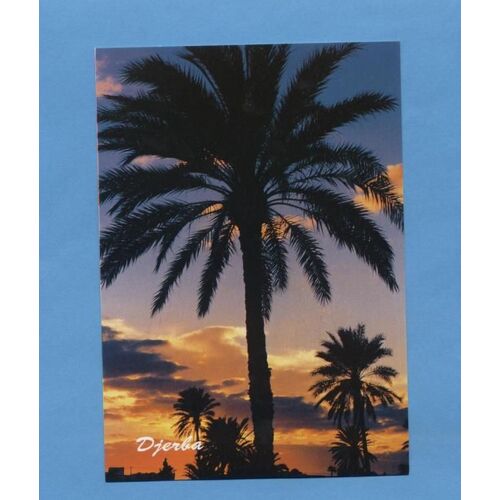 Carte Postale Publicitaire Advertising Postcard Djerba Tunisie Tunisia