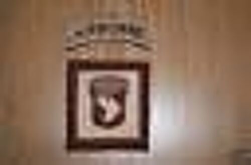 Insigne Tissu D'epaule De La 101 Eme Airborne 'division D'infanterie Aeroporte) Sable En Deux Parties