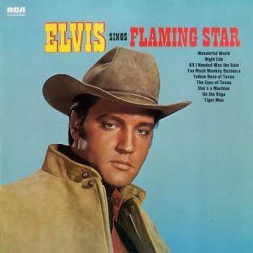Elvis Sings Flaming Star