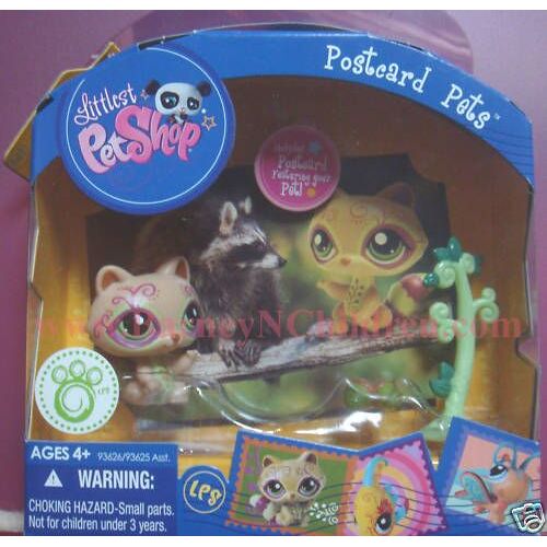 Petshop Raton Laveur Postcard # 1354