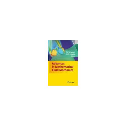 Advances In Mathematical Fluid Mechanics