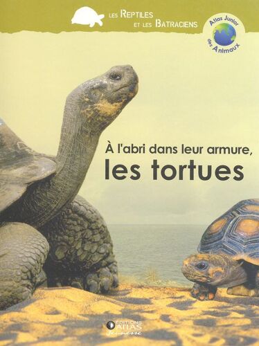 Les Tortues
