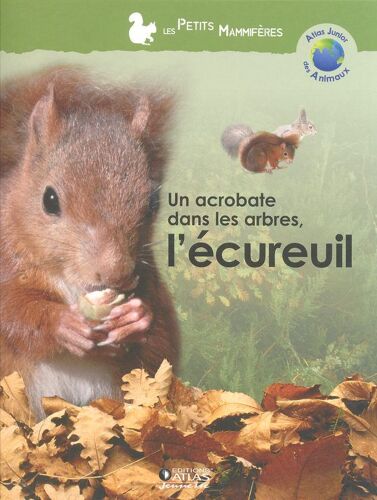 Un Acrobate Dans Les Arbres, L'écureuil