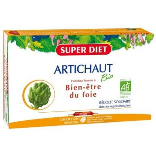 Artichaut Bio 