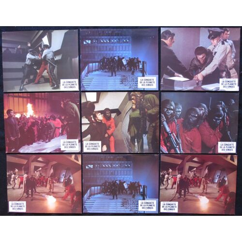 La Conqu?te De La Plan?te Des Singes - Conquest Of The Planet Of The Apes : 9 Photos D'exploitation De Cin?ma 1972 -Chaque Affiche 21,5x28 Cm - Film De J. Lee Thompson Avec Roddy Mcdowall, Don Murray
