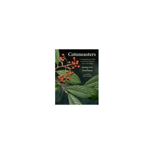 Cotoneasters: A Comprehensive Guide To Shrubs For Flowers, Fruit, And Foliage