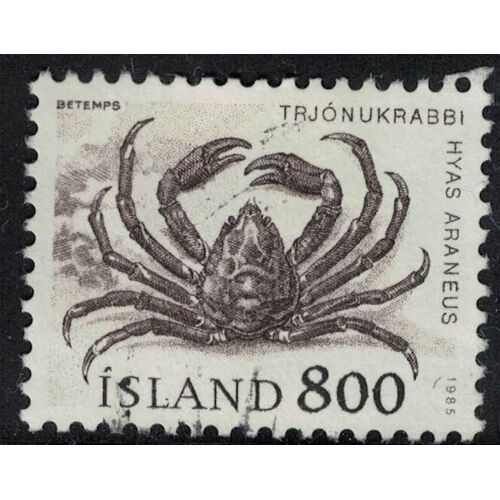 Islande 1985 Oblitéré Used Animal Hyas Araneus Grand Crabe Araignée Nordique Su