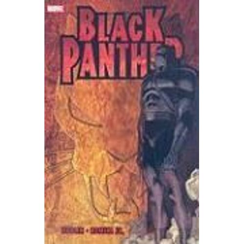 Who Is The Black Panther?