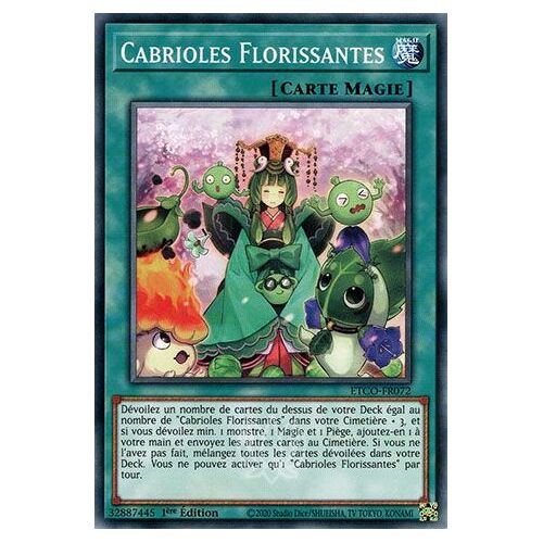 Carte Yu-Gi-Oh Etco-Fr072 Cabrioles Florissantes Fr