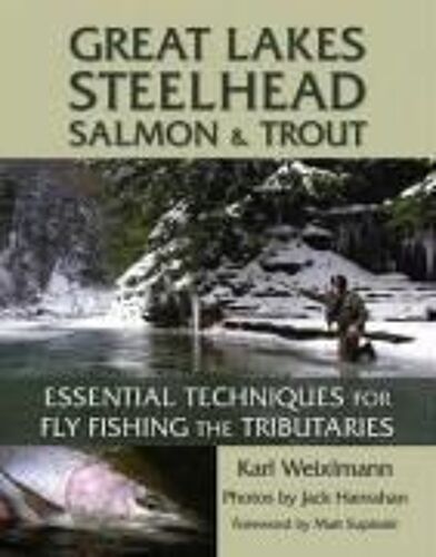 Great Lakes Steelhead, Salmon & Trout